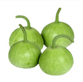 Bottle Gourd - گھیا کدو