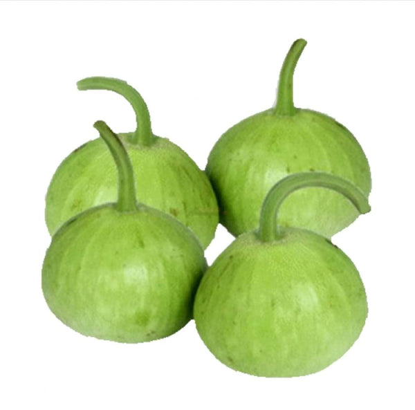 Bottle Gourd - گھیا کدو