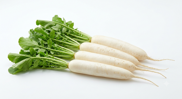 Radish - مولی