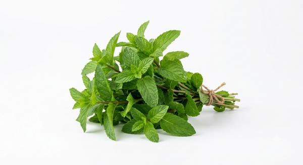 Mint - پودینہ