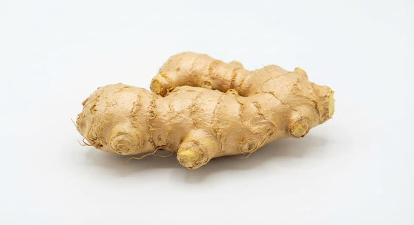 Ginger - ادرک