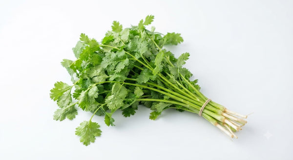 Coriander - دھنیا