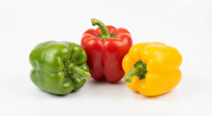 Capsicum - شملہ مرچ