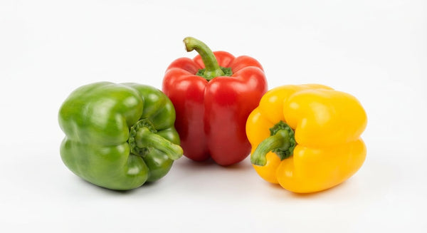 Capsicum - شملہ مرچ